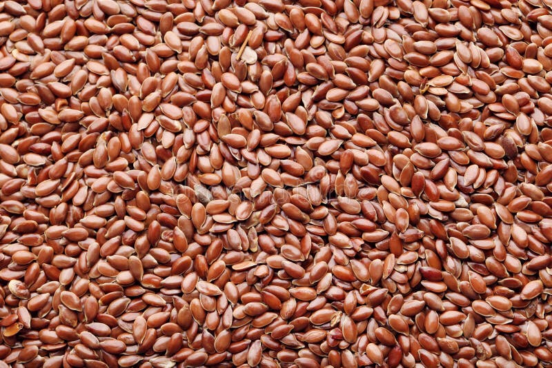 Brown flax seeds stock photo. Image of uncooked, group 207969276