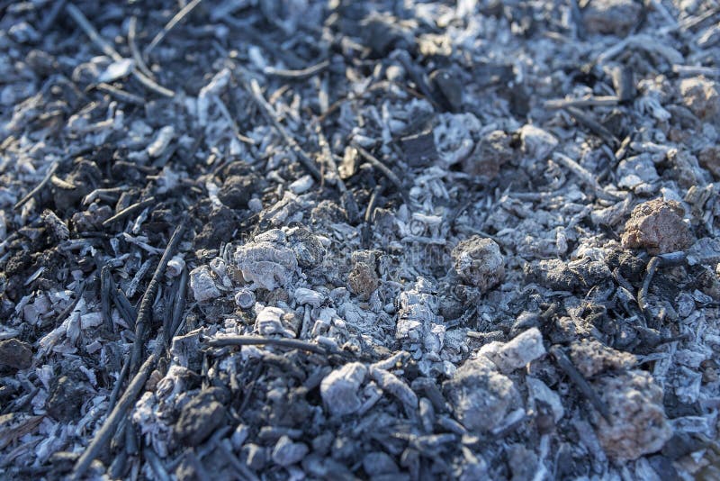 Background of burned ash. stock photo. Image of burnt 89843472