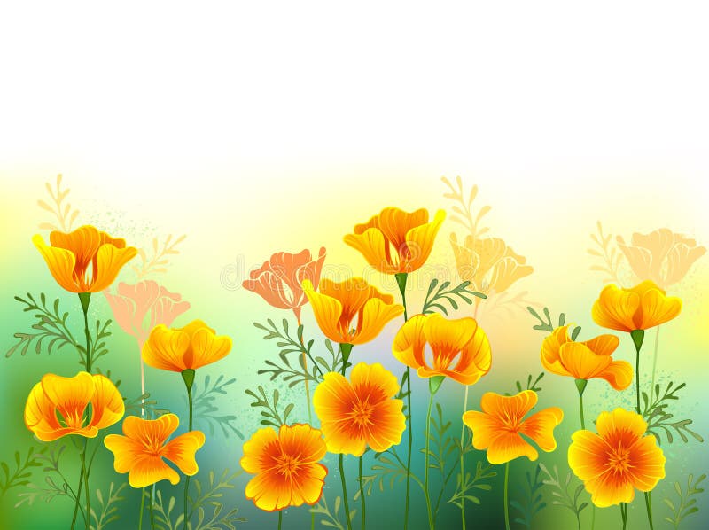 Background with yellow california poppy