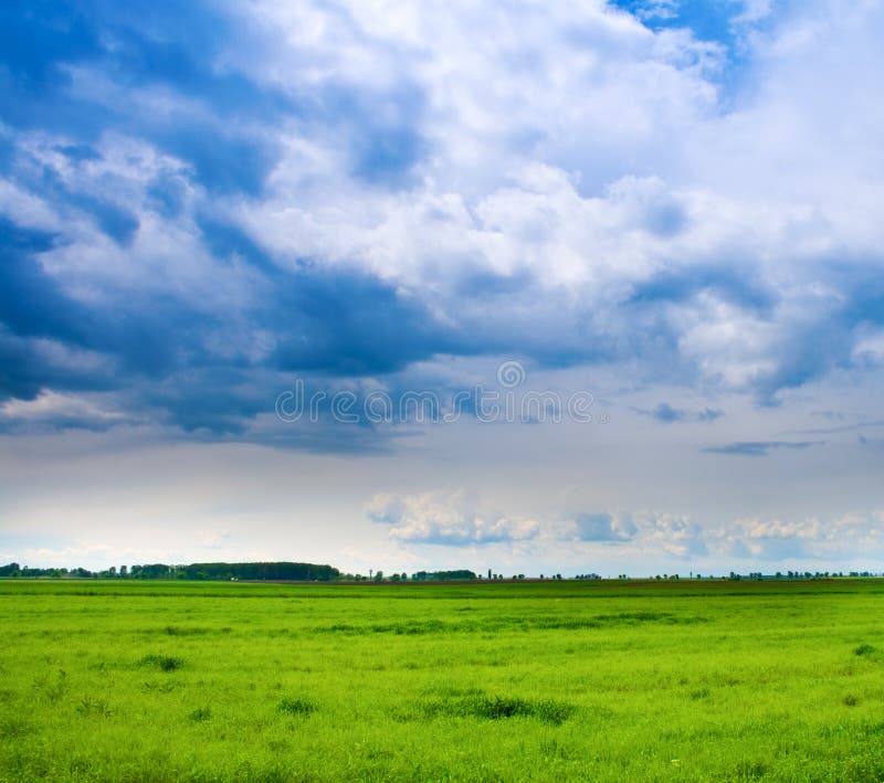 Background of cloudy sky and fresh green grass