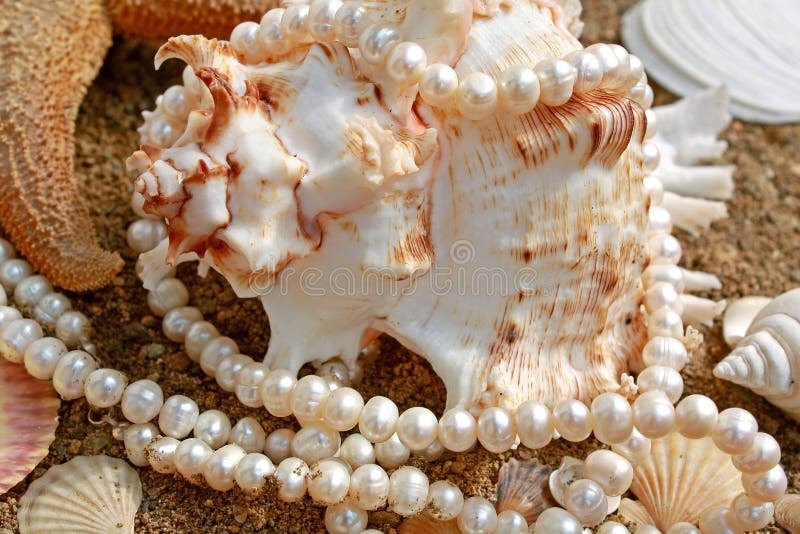 Background with cockleshells and pearls