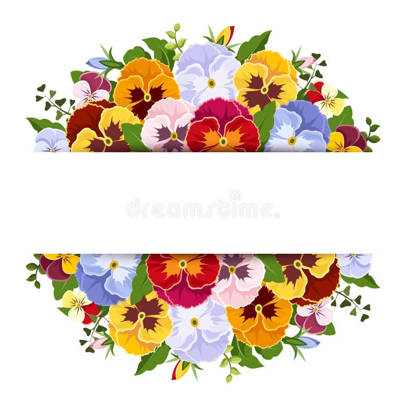 Background with colorful pansy flowers. Vector eps-10.