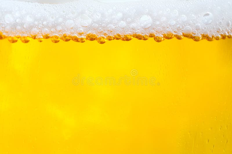 Beers Wallpaper Photos Free Royalty Free Stock Photos From Dreamstime Beers Wallpaper Photos Free Royalty Free Stock Photos From Dreamstime