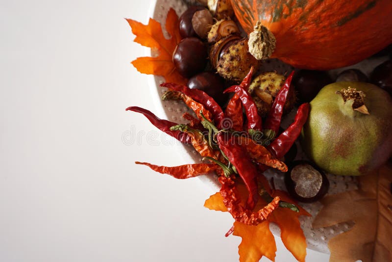 Background with copy space and flat lay plate with red hot chili peppers, hokkaido pumpkin, pomegranate and chestnuts royalty free stock images Background with copy space and flat lay plate with red hot chili peppers, hokkaido pumpkin, pomegranate and chestnuts royalty free stock images