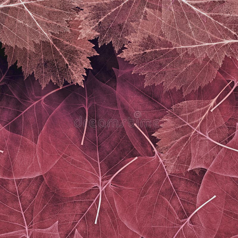 Background from Dark Red Leaves Stock Image - Image of details ...