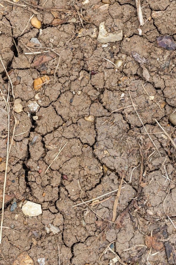 Background of the dried earth with cracks. Soil drought royalty free stock photos