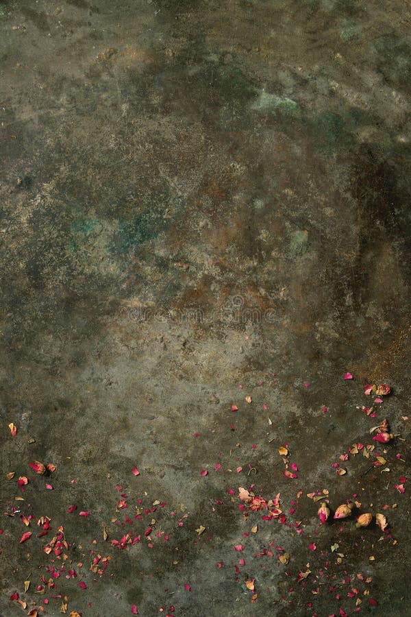 Background with dry rose buds