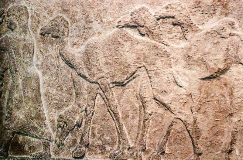 Background - Egyptian bas-relief carving in stone of multiple camels following a man