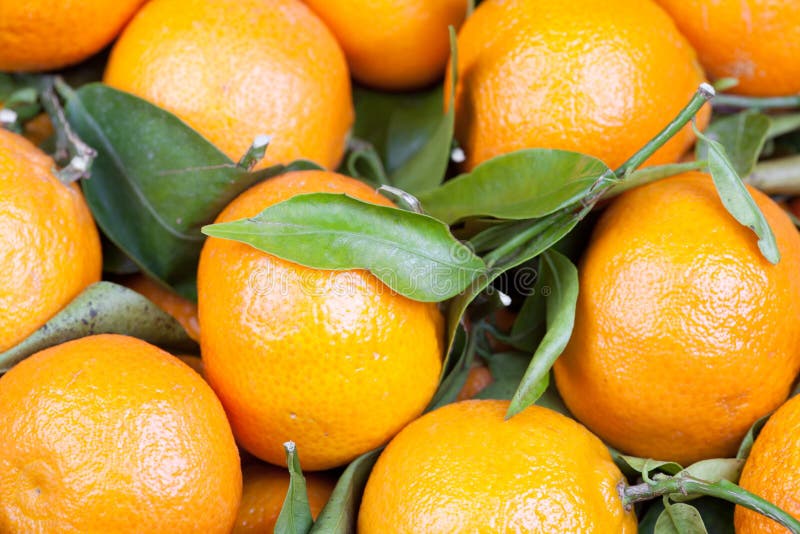 Background of satsumas stock photo. Image of orange, sweet 29740648