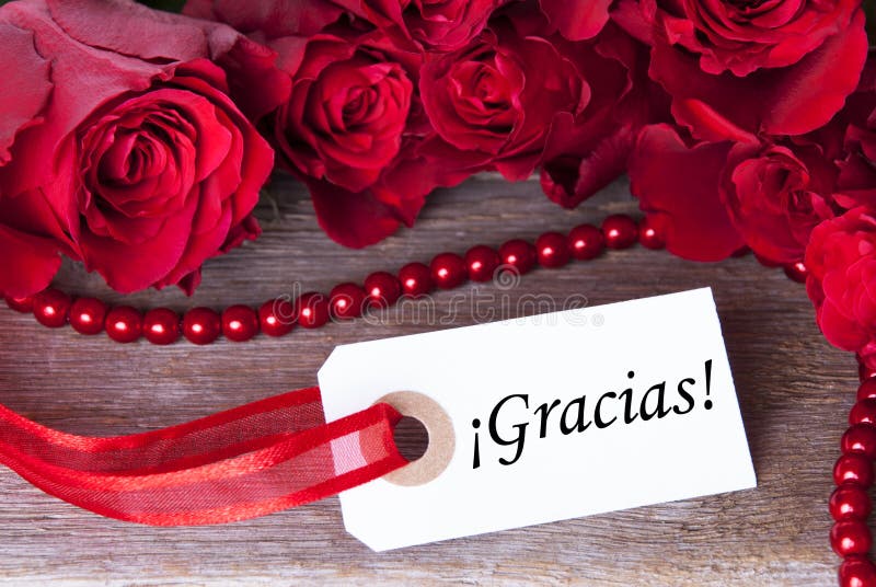 Background with Gracias. A Background with Red Roses and the Spanish Word Gracias Which Means Thanks royalty free stock photography
