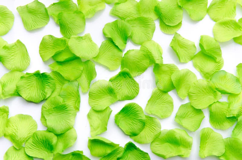 Background of green petals stock photo. Image of petals 42131034