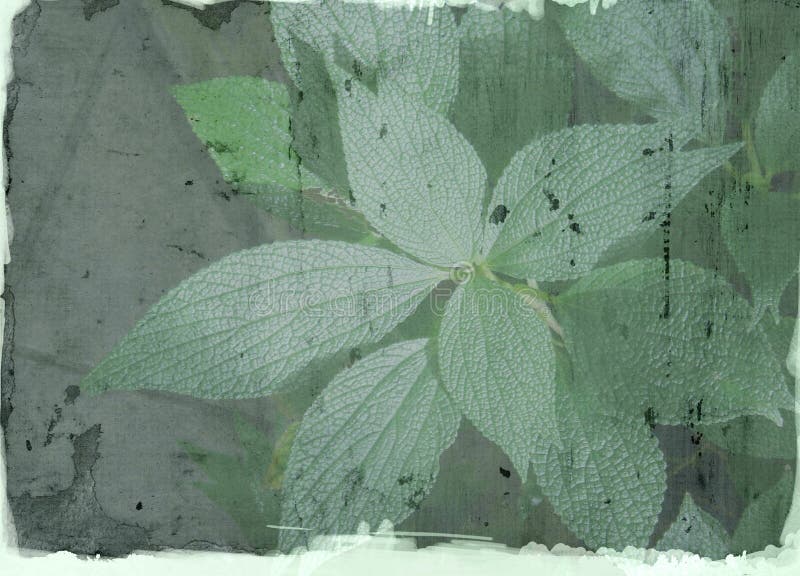 Background grunge aged letter sheet