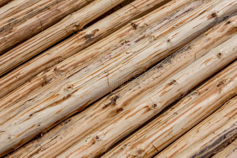 Background of hand peeled pine tree diagonal logs stock photography