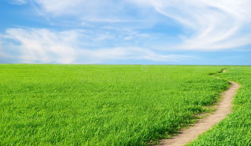 Background - a herb, the sky, lane.