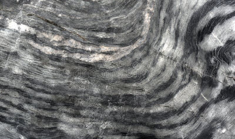 Background image as wallpaper There are many beautiful colors. for making a background stock photos