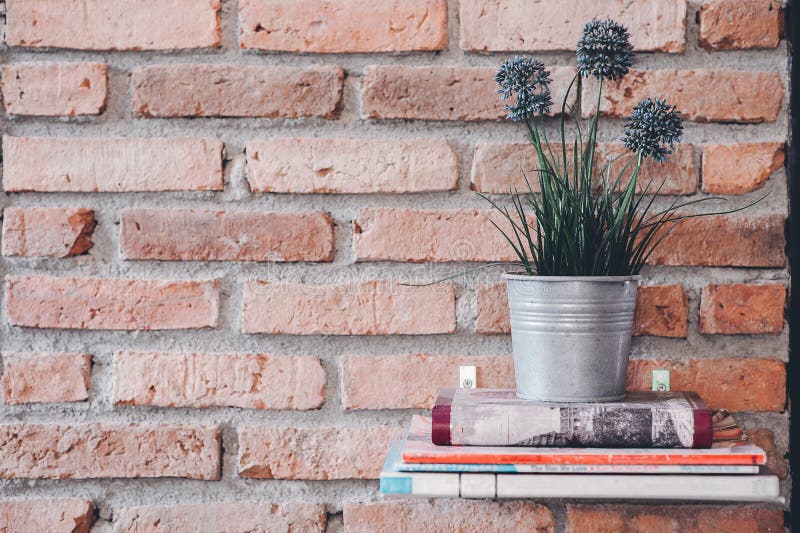 Study for knowledge Read books in the library.