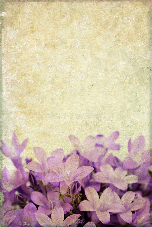 Background image with floral elements