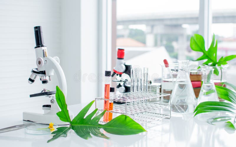 Background of laboratory class in studio at school with microscope, plants for doing experiment, research, test of biochemistry royalty free stock photography