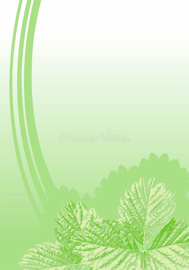 Background with leaves vector illustration