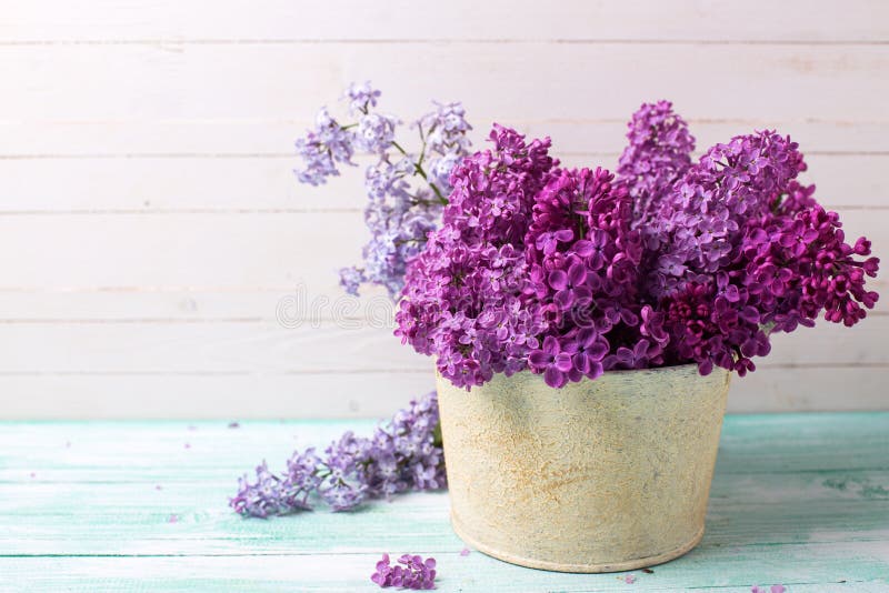 Background with lilac flowers in bowl stock photos Background with lilac flowers in bowl stock photos