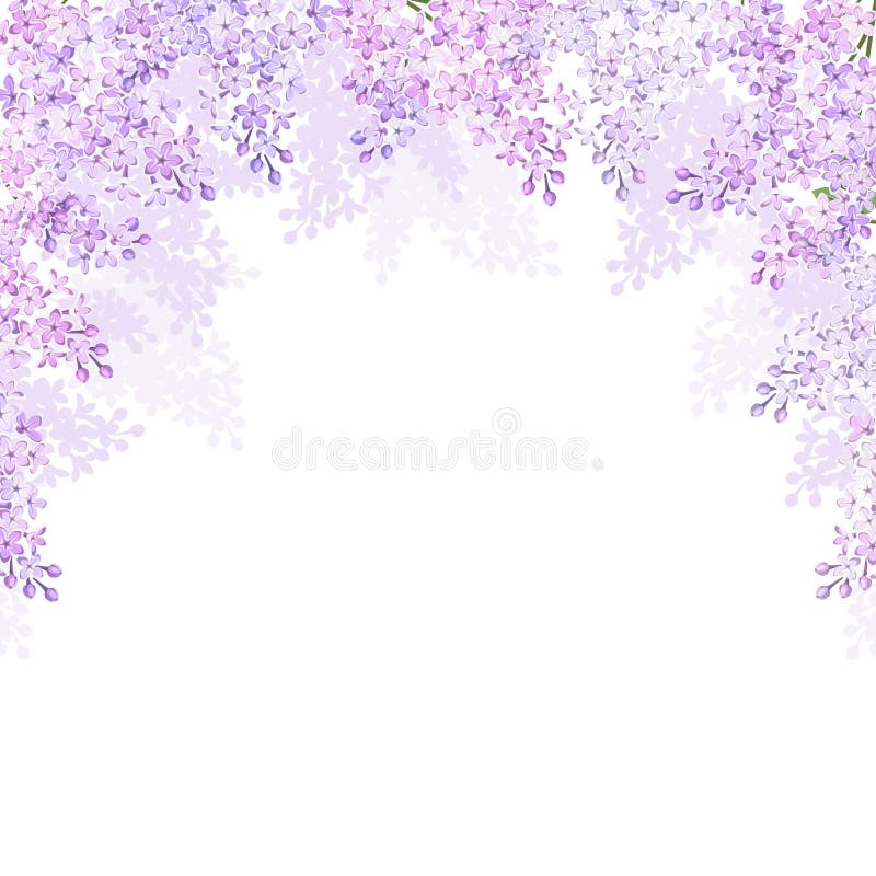 Background with lilac flowers. Vector illustration.