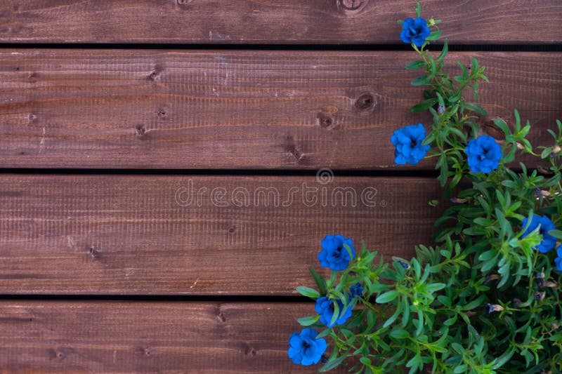 Tường gỗ cũ là loại vật liệu truyền thống mang đến cảm giác ấm cúng trong không gian sống. Những chi tiết độc đáo trên tường cũ cũng là điểm nhấn hút mắt. Hãy chiêm ngưỡng thêm các bức ảnh mới nhất về tường gỗ cũ để trang trí cho không gian sống nhà bạn.