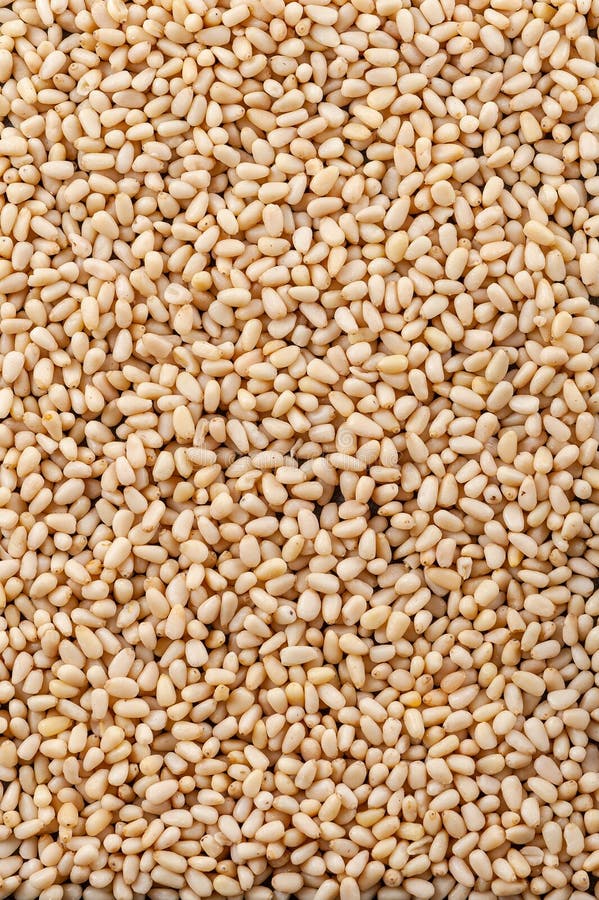 Background made of peeled pine nuts. Vertical frame stock photography