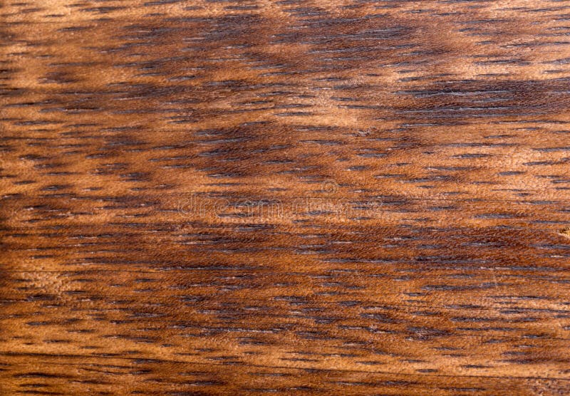 Background of Mango Wood Texture Closeup Stock Photo Image of board, natural 246486584