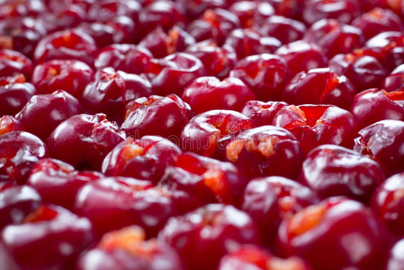 Background of Mellow Cherries Prepared for Sun Drying for Conservation