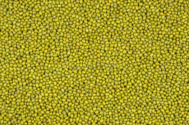 Background with mung beans stock photography