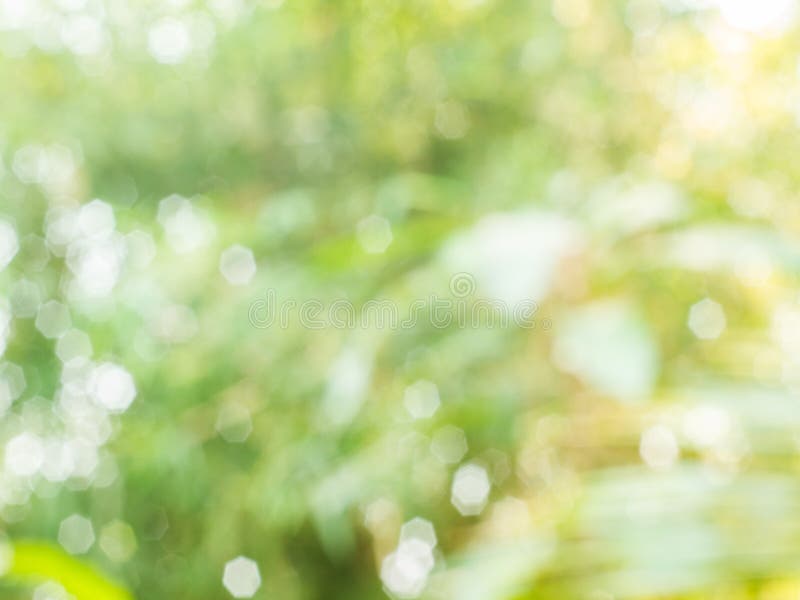 Background from natural light bokeh. stock images