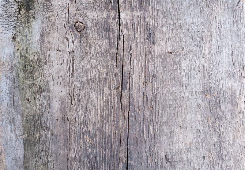 Background old wooden board stock image