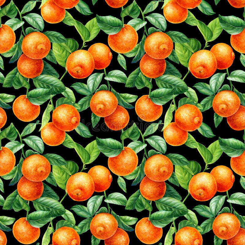 Background of Orange Fruits, Leaves. Watercolor Botanical Illustration ...