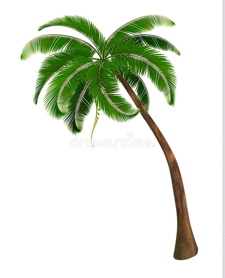 Background with a palm tree. royalty free illustration