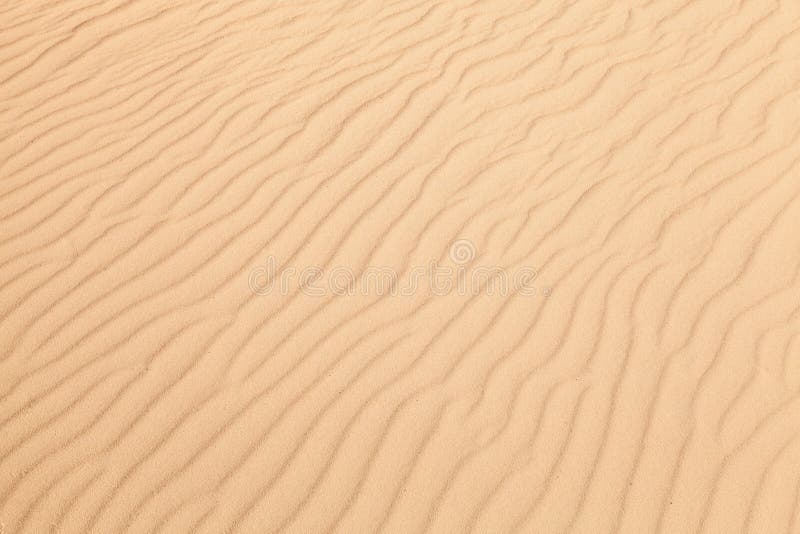 Background Photo Texture Of White Sand Stock Image Image Of Sand