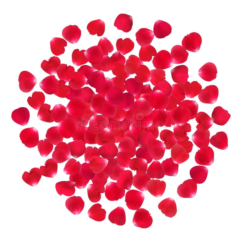 Background with Realistic Red Rose Petals Isolated on White Background Stock Illustration