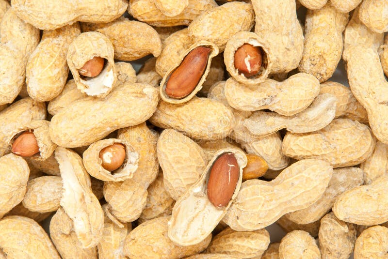 Salted Peanuts in the Shell Stock Photo Image of appetizer