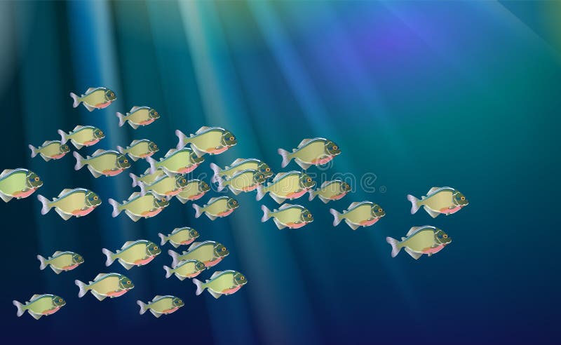 Background, school of fish, in a river of piranhas. Aquatic life. Optimized from to be used in decoration, many Pacu, illustration . The symbol of the aggressive design for poster, banner. eps10