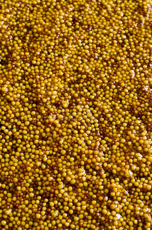 Background of Seeds of Mustard Stock Image Image of juicy, cuisine