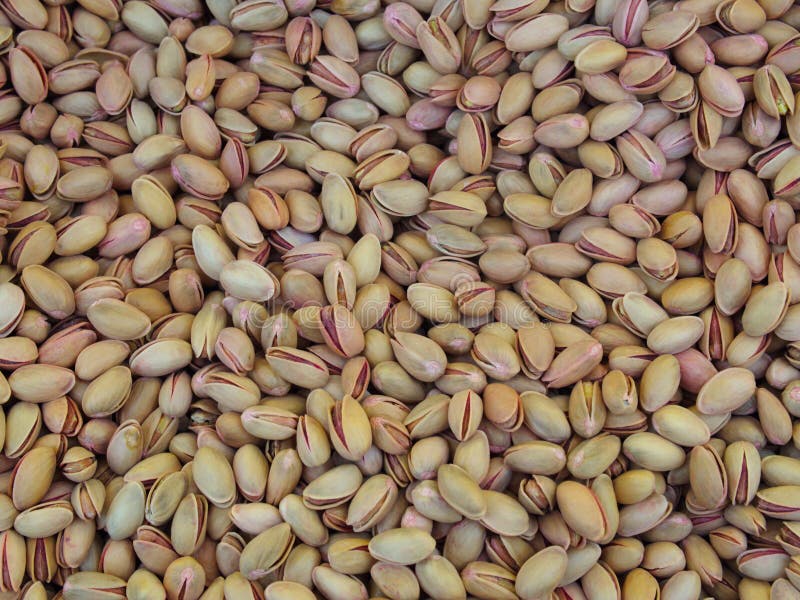 Shelled pistachio nut