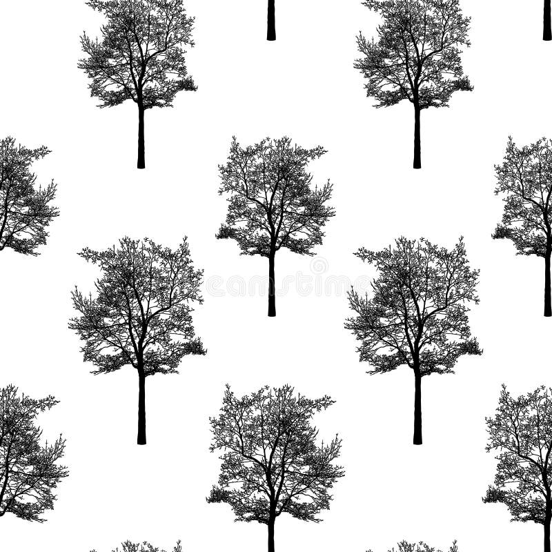 Background of silhouettes of deciduous trees in winter stock illustration Background of silhouettes of deciduous trees in winter stock illustration