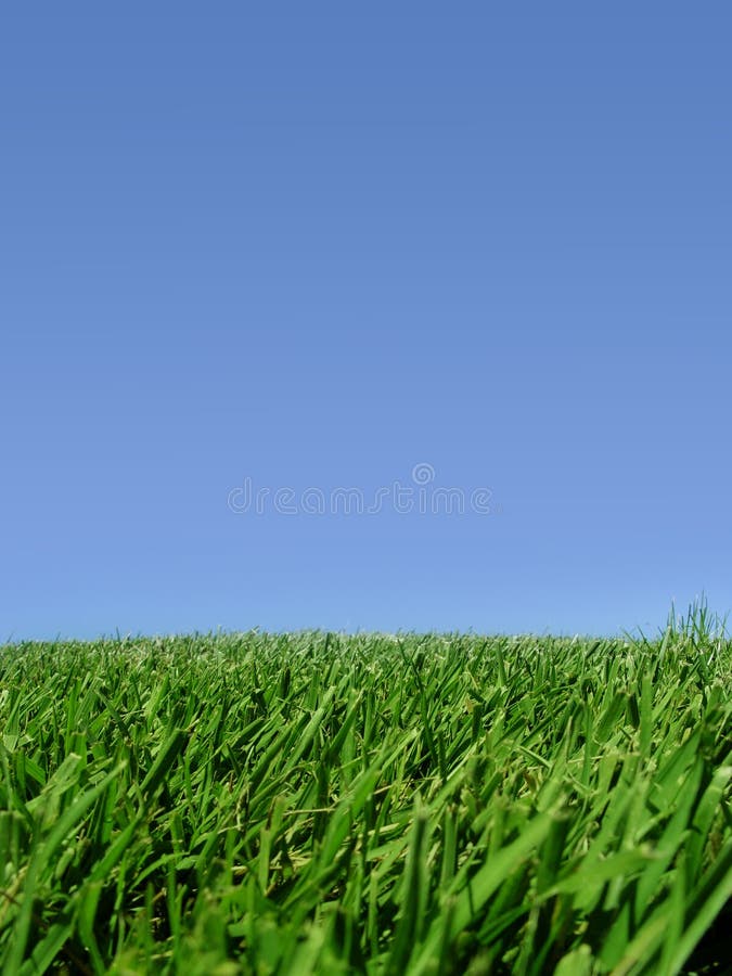 Background of sky and grass stock image Background of sky and grass stock image