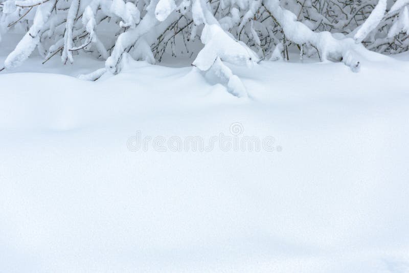 Nắm bắt cảnh tuyết phủ trắng đầy quyến rũ và tuyệt đẹp. Hình ảnh này sẽ đưa bạn đến với một thế giới tuyết trắng thanh bình, êm ái và cực kỳ hấp dẫn. Trong không khí trong lành của trời lạnh, cơn gió se se lạnh, bạn sẽ được chứng kiến những bức ảnh tuyệt đẹp của thiên nhiên.