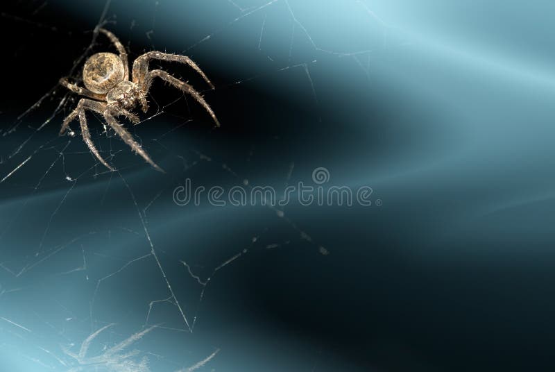 Background with spider