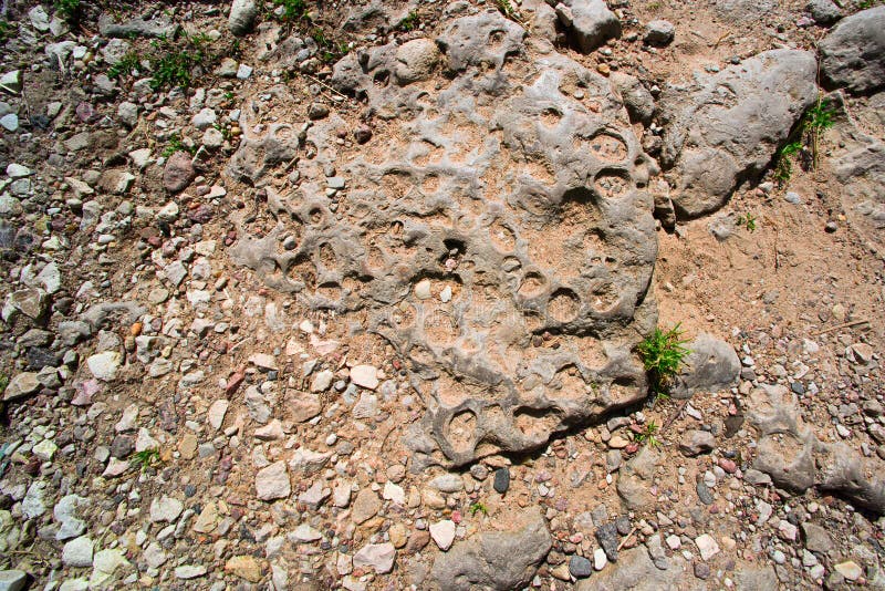 Stone with holes on the road royalty free stock photos