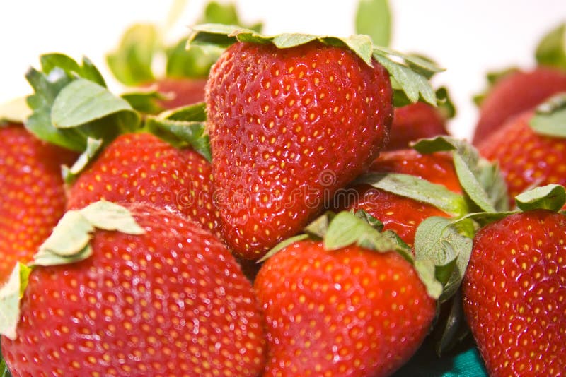 Background of Strawberries stock photo. Image of seed 6973718