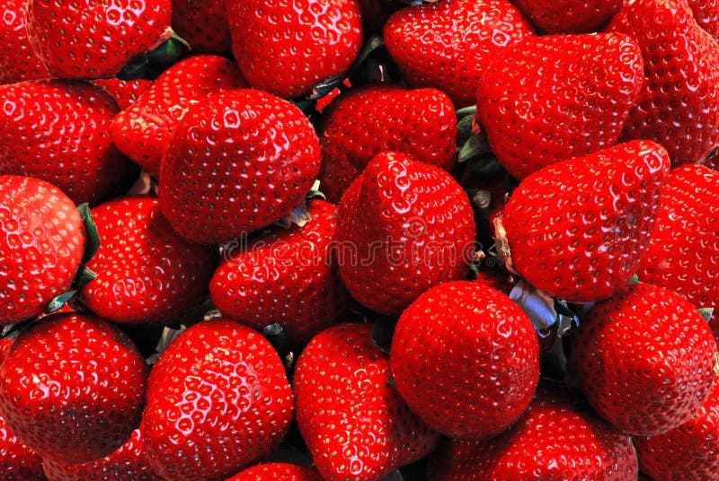 Background of Strawberries. Stock Image Image of food, juicy 39139919
