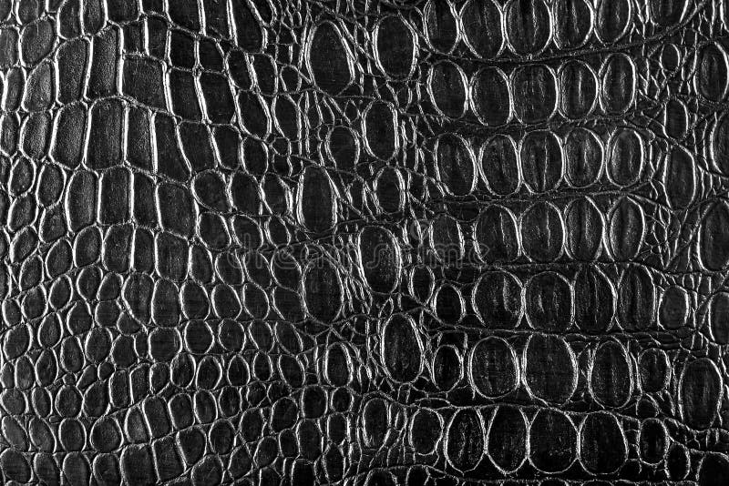 Background Texture of Black Crocodile Skin. Stock Image Image of