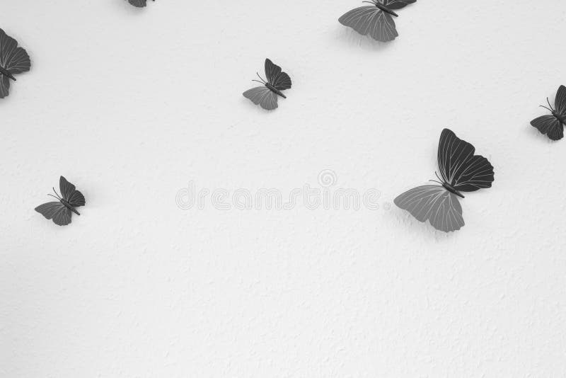 Background texture butterfly black and white abstract