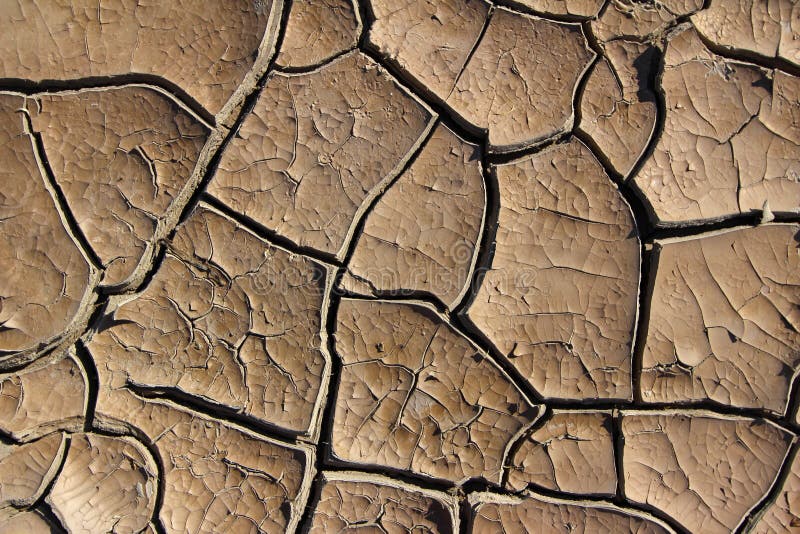 Background texture of cracked mud. Background texture of cracked mud